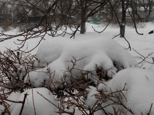 Картинка природа зима