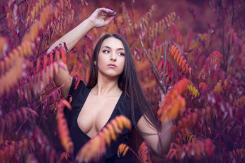 Картинка девушка девушки -unsort+ брюнетки темноволосые модель