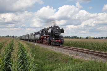 Картинка техника паровозы состав локомотив