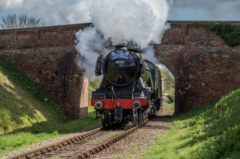 Картинка техника паровозы состав локомотив