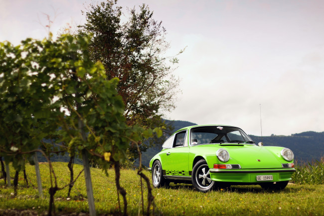 Обои картинки фото автомобили, porsche