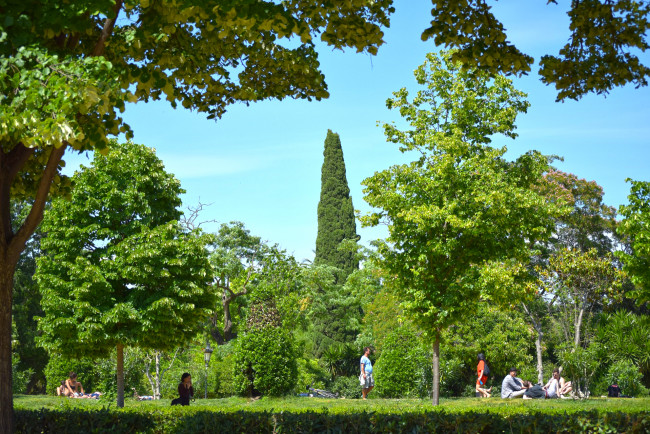 Обои картинки фото природа, парк, деревья, люди, растения