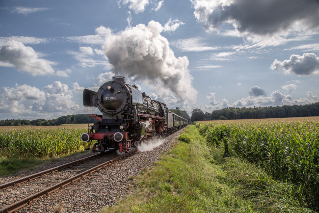 Обои картинки фото техника, паровозы, состав, локомотив