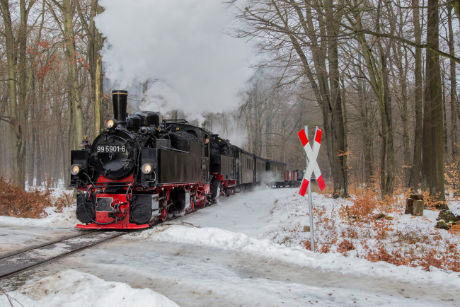 Обои картинки фото техника, паровозы, состав, локомотив