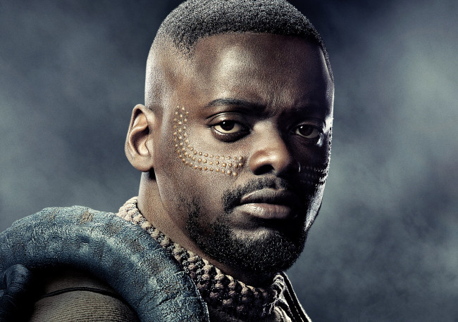 Обои картинки фото кино фильмы, black panther, black, panther