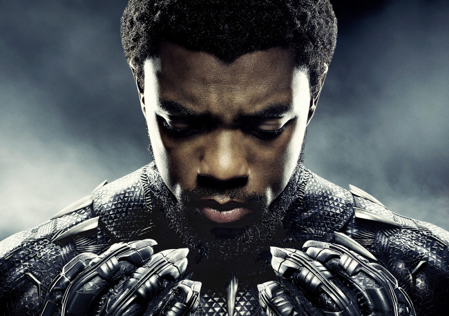Обои картинки фото кино фильмы, black panther, black, panther