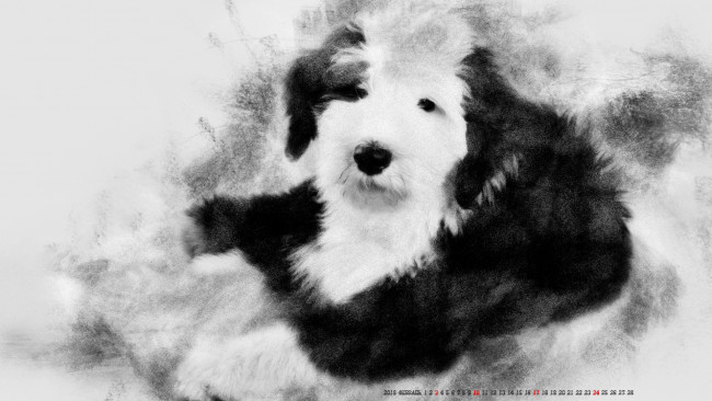 Обои картинки фото календари, компьютерный дизайн, собака, животное