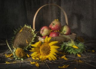 Картинка еда яблоки корзина подсолнухи