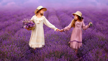 Картинка разное дети девочки корзины поле лаванда
