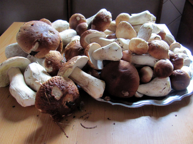 Обои картинки фото еда, грибы,  грибные блюда, боровики