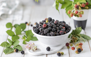 обоя еда, ежевика, листья, ягоды