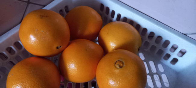 Обои картинки фото еда, цитрусы, апельсины