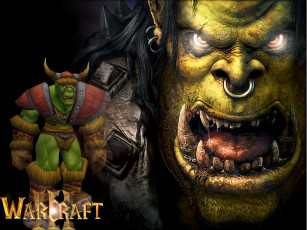 Картинка видео игры warcraft iii reign of chaos