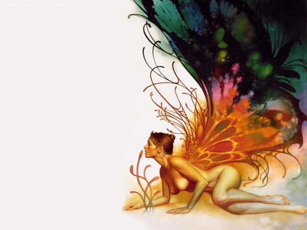 Обои картинки фото фэнтези, феи