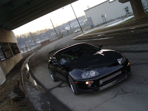 Обои картинки фото toyota, supra, автомобили