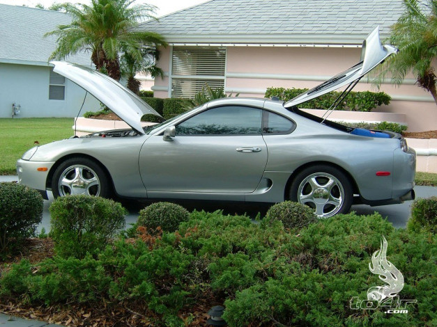 Обои картинки фото toyota, supra, автомобили