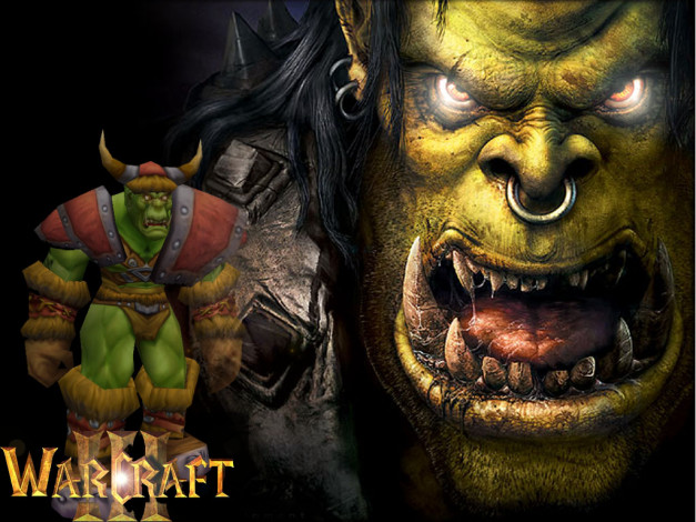 Обои картинки фото видео, игры, warcraft, iii, reign, of, chaos