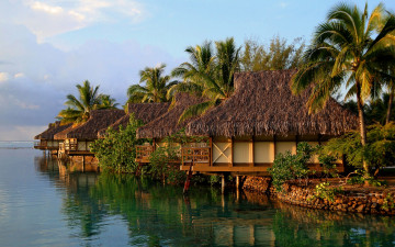 Картинка природа тропики