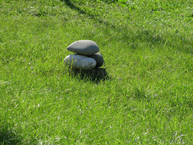 Обои картинки фото 