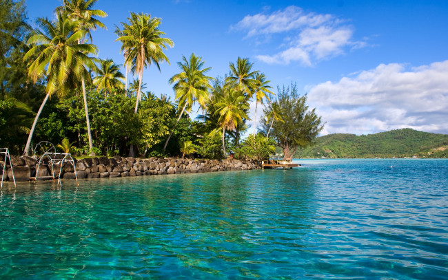 Обои картинки фото природа, тропики