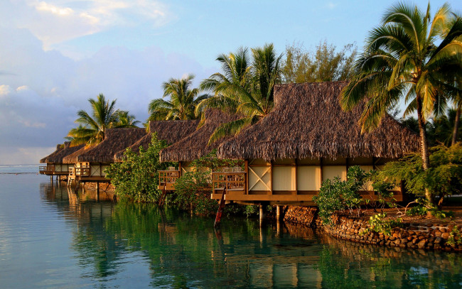 Обои картинки фото природа, тропики