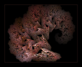 Картинка 3д графика fractal фракталы цвета фон