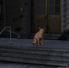 Картинка 3д графика animals животные кот