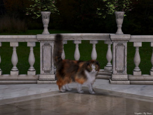 Картинка 3д графика animals животные ограждение кот растение