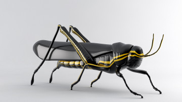 Картинка 3д графика animals животные фигурка насекомое кузнечик