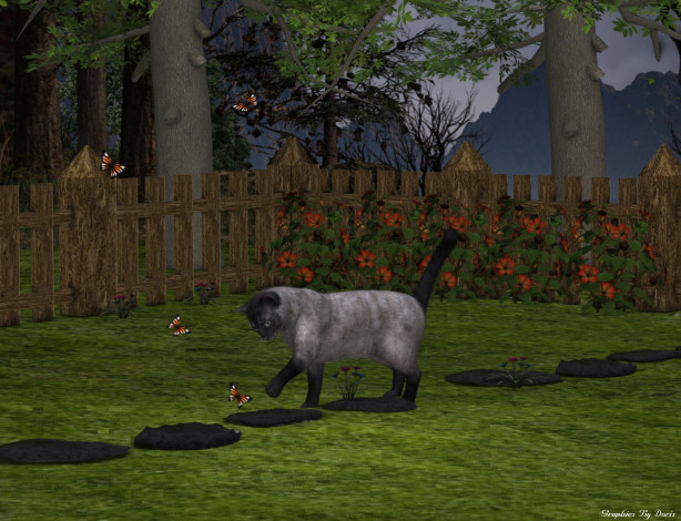 Обои картинки фото 3д, графика, animals, животные, кот