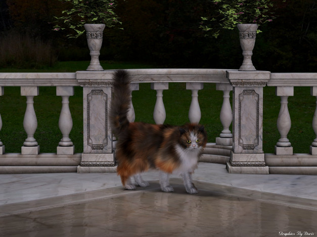 Обои картинки фото 3д, графика, animals, животные, ограждение, кот, растение