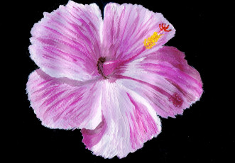 Картинка рисованные цветы лепестки