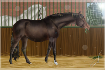 Картинка рисованное животные +лошади лошадь взгляд