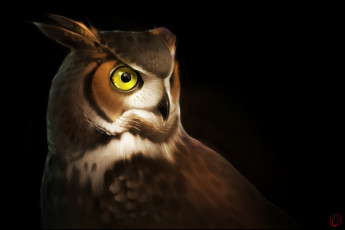 Картинка gaudibuendia рисованное животные +птицы +совы +филины сова глаза птица