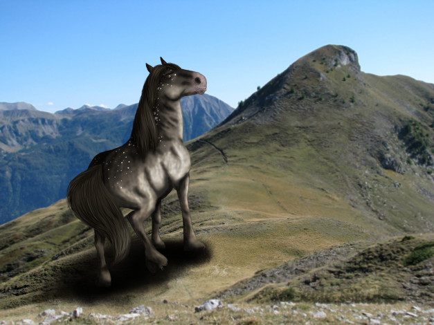 Обои картинки фото рисованное, животные,  лошади, лошадь, взгляд