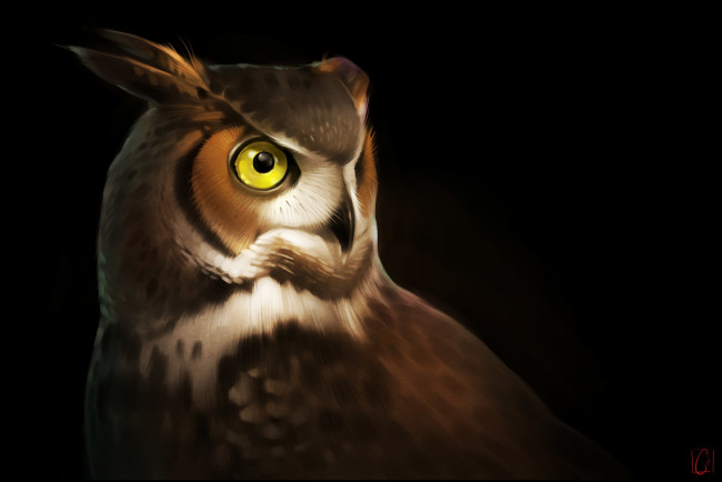 Обои картинки фото gaudibuendia, рисованное, животные,  птицы,  совы,  филины, сова, глаза, птица