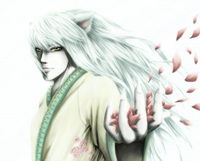 Картинка аниме yu+yu+hakusho youko kurama