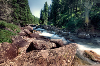 Картинка природа реки озера деревья