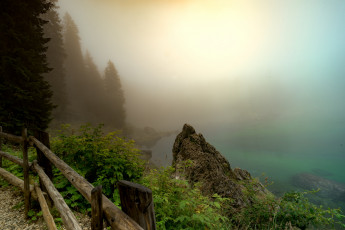 Картинка природа реки озера деревья