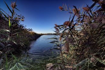 Картинка природа реки озера деревья