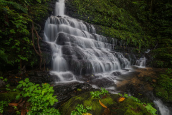 Картинка природа водопады водопад река лес