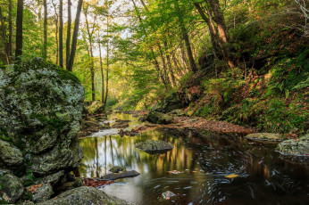 Картинка природа реки озера деревья