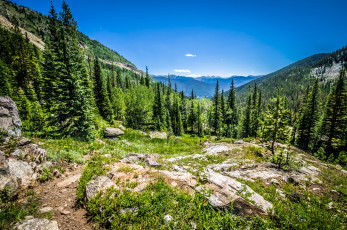 Картинка природа пейзажи простор