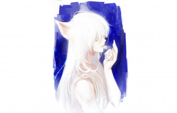 обоя аниме, yu yu hakusho, youko, kurama