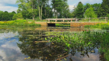 Картинка природа реки озера река мост деревья пейзаж