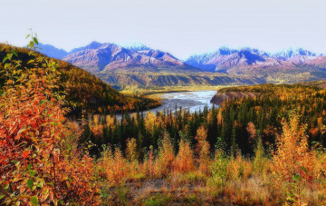 Картинка природа реки озера деревья