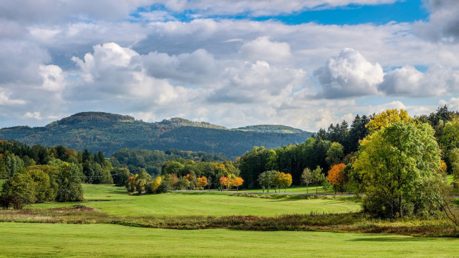 Обои картинки фото природа, пейзажи, поле, горы, деревья, пейзаж