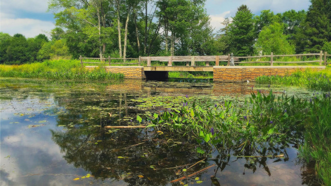 Обои картинки фото природа, реки, озера, река, мост, деревья, пейзаж