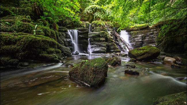 Обои картинки фото природа, водопады, водопад, водоём, лес, деревья, пейзаж