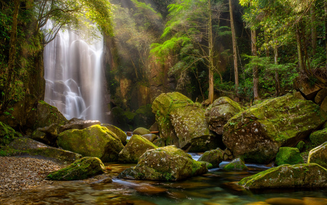 Обои картинки фото природа, водопады, водопад, река, лес